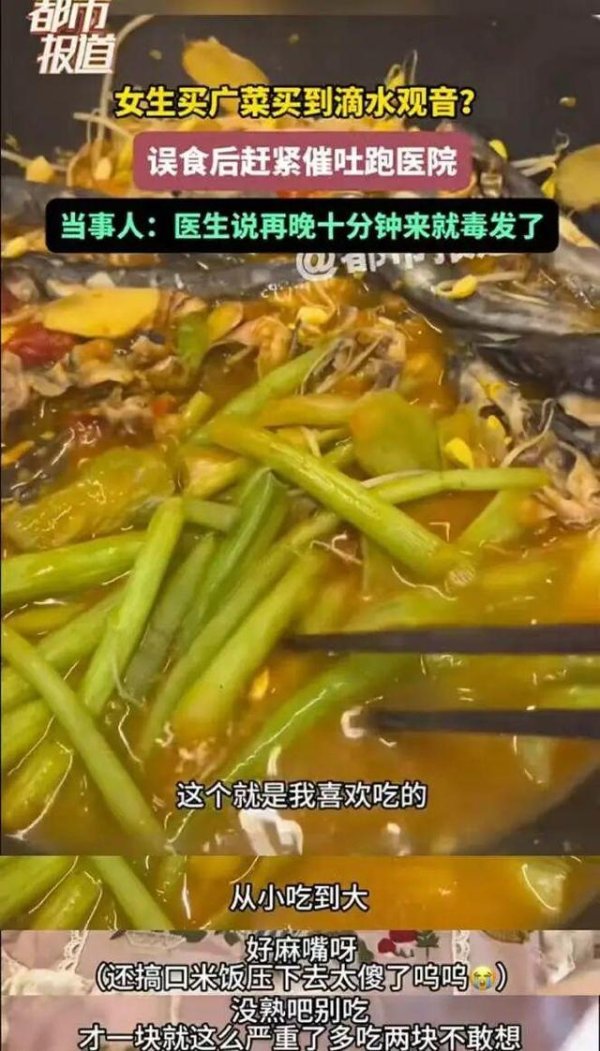 涨上策 女子吃一口就中毒，紧急就医！“再晚10分钟就毒发了”……这个菜很多人认不清，重要提醒
