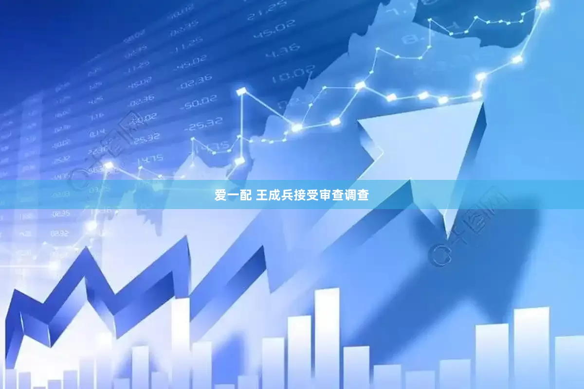 爱一配 王成兵接受审查调查